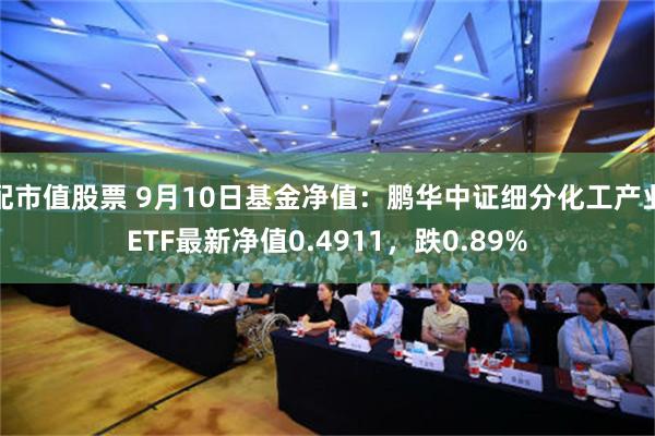 配市值股票 9月10日基金净值：鹏华中证细分化工产业ETF最新净值0.4911，跌0.89%