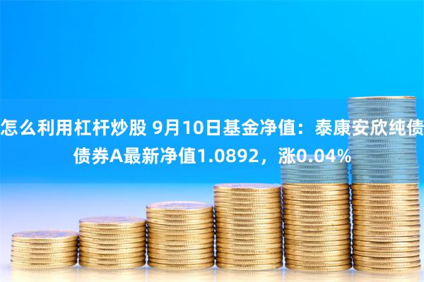 怎么利用杠杆炒股 9月10日基金净值：泰康安欣纯债债券A最新净值1.0892，涨0.04%