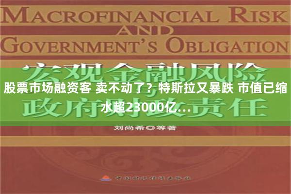 股票市场融资客 卖不动了？特斯拉又暴跌 市值已缩水超23000亿…