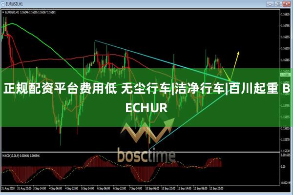 正规配资平台费用低 无尘行车|洁净行车|百川起重 BECHUR