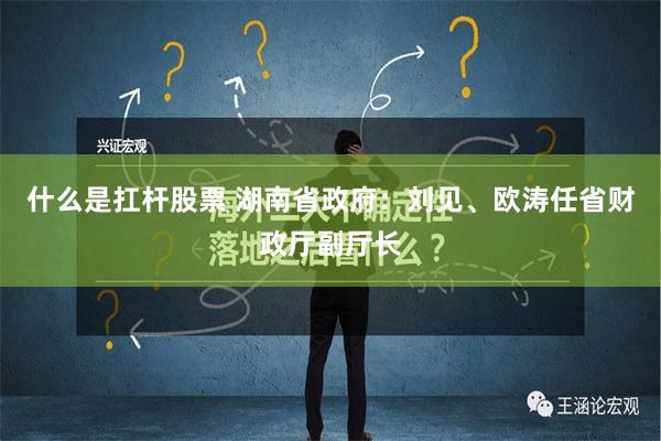 什么是扛杆股票 湖南省政府：刘见、欧涛任省财政厅副厅长