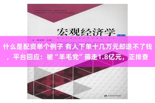 什么是配资举个例子 有人下单十几万元却退不了钱，平台回应：被“羊毛党”薅走1.8亿元，正排查