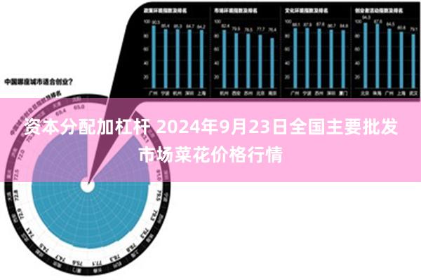 资本分配加杠杆 2024年9月23日全国主要批发市场菜花价格行情