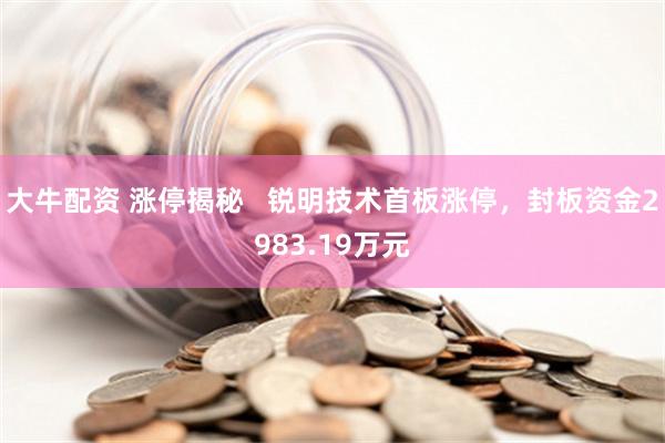 大牛配资 涨停揭秘   锐明技术首板涨停，封板资金2983.19万元