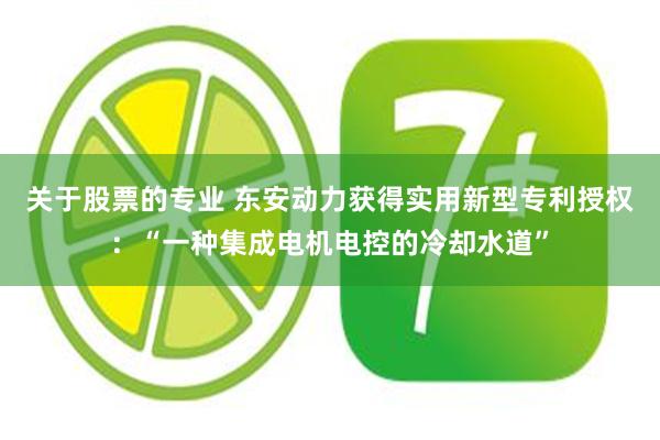 关于股票的专业 东安动力获得实用新型专利授权：“一种集成电机电控的冷却水道”