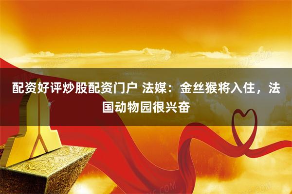 配资好评炒股配资门户 法媒：金丝猴将入住，法国动物园很兴奋