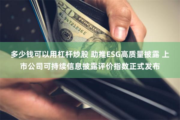 多少钱可以用杠杆炒股 助推ESG高质量披露 上市公司可持续信息披露评价指数正式发布