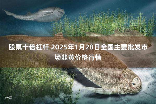 股票十倍杠杆 2025年1月28日全国主要批发市场韭黄价格行情