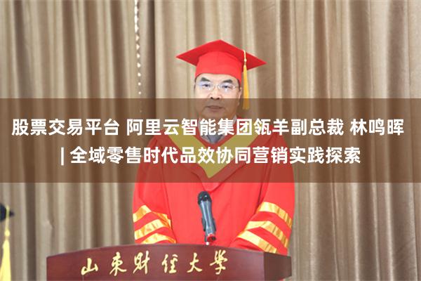 股票交易平台 阿里云智能集团瓴羊副总裁 林鸣晖 | 全域零售时代品效协同营销实践探索